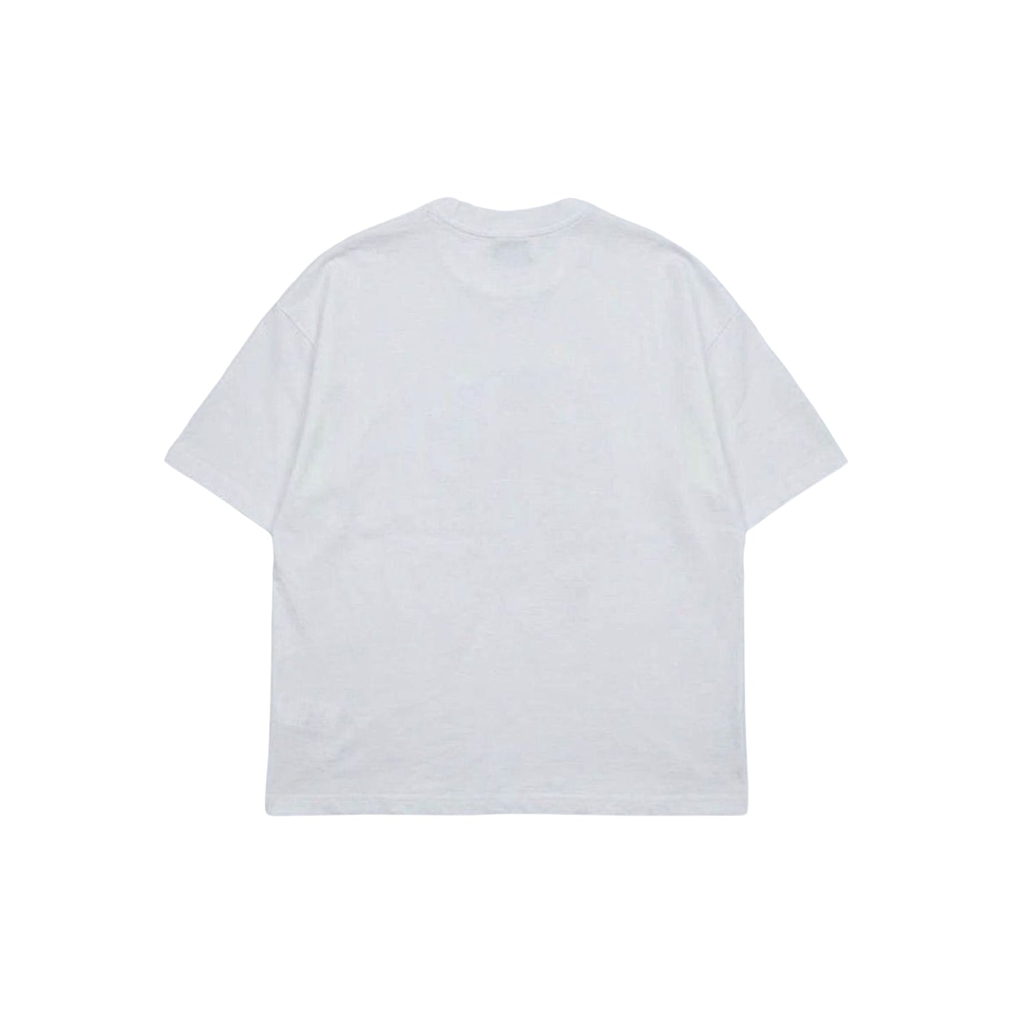 THE COMPANION T-SHIRT